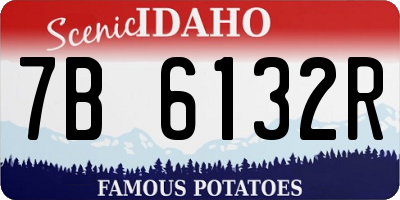ID license plate 7B6132R