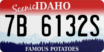 ID license plate 7B6132S