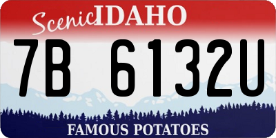 ID license plate 7B6132U