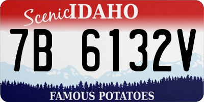 ID license plate 7B6132V