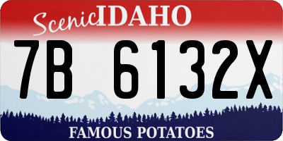 ID license plate 7B6132X