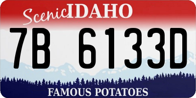 ID license plate 7B6133D