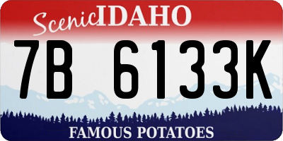 ID license plate 7B6133K