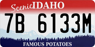 ID license plate 7B6133M