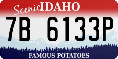 ID license plate 7B6133P