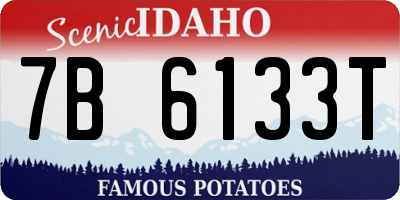 ID license plate 7B6133T
