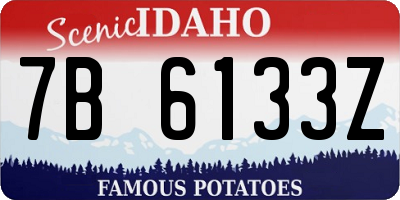 ID license plate 7B6133Z