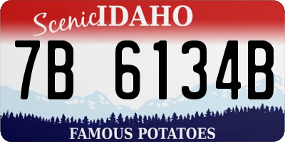 ID license plate 7B6134B