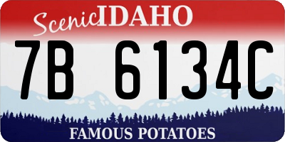 ID license plate 7B6134C