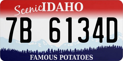 ID license plate 7B6134D