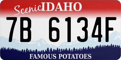 ID license plate 7B6134F