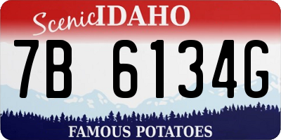 ID license plate 7B6134G