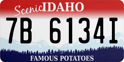 ID license plate 7B6134I