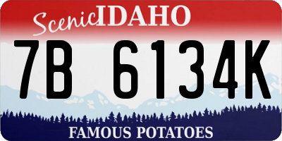 ID license plate 7B6134K