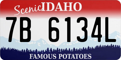 ID license plate 7B6134L