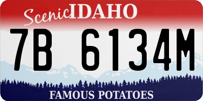 ID license plate 7B6134M