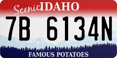 ID license plate 7B6134N