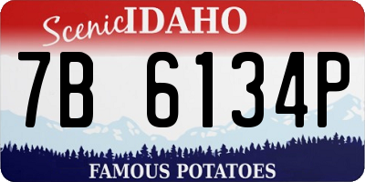 ID license plate 7B6134P