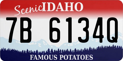 ID license plate 7B6134Q