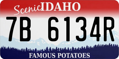 ID license plate 7B6134R