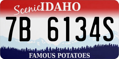 ID license plate 7B6134S