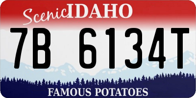 ID license plate 7B6134T