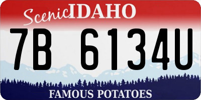 ID license plate 7B6134U