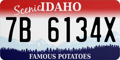 ID license plate 7B6134X