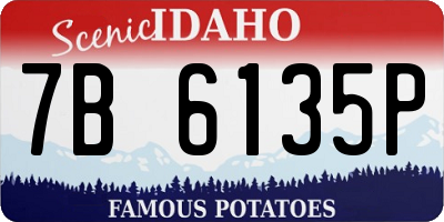 ID license plate 7B6135P
