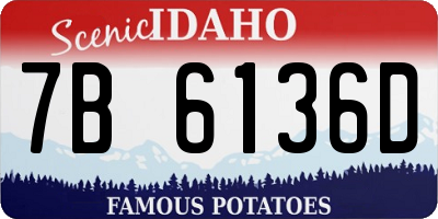 ID license plate 7B6136D
