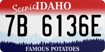 ID license plate 7B6136E