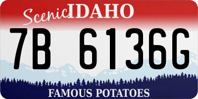 ID license plate 7B6136G