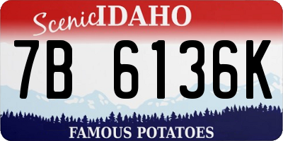 ID license plate 7B6136K