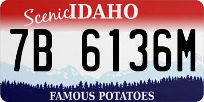ID license plate 7B6136M