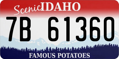 ID license plate 7B6136O