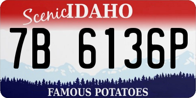 ID license plate 7B6136P