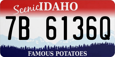 ID license plate 7B6136Q