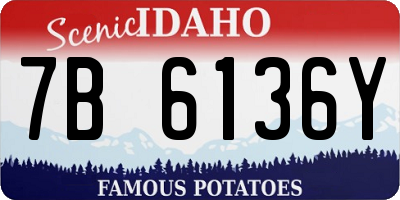 ID license plate 7B6136Y