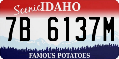 ID license plate 7B6137M