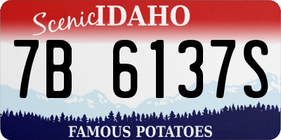 ID license plate 7B6137S