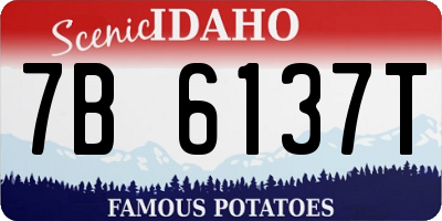 ID license plate 7B6137T