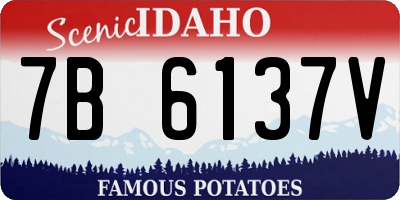 ID license plate 7B6137V
