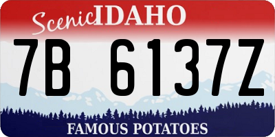 ID license plate 7B6137Z