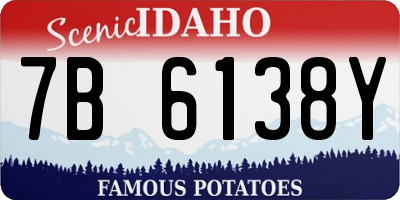 ID license plate 7B6138Y