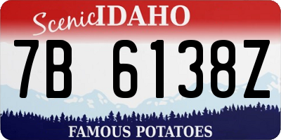 ID license plate 7B6138Z