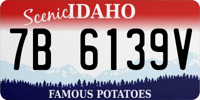 ID license plate 7B6139V