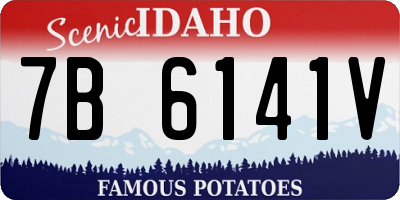 ID license plate 7B6141V