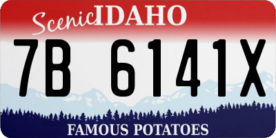 ID license plate 7B6141X