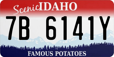 ID license plate 7B6141Y