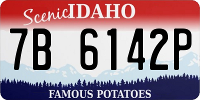 ID license plate 7B6142P